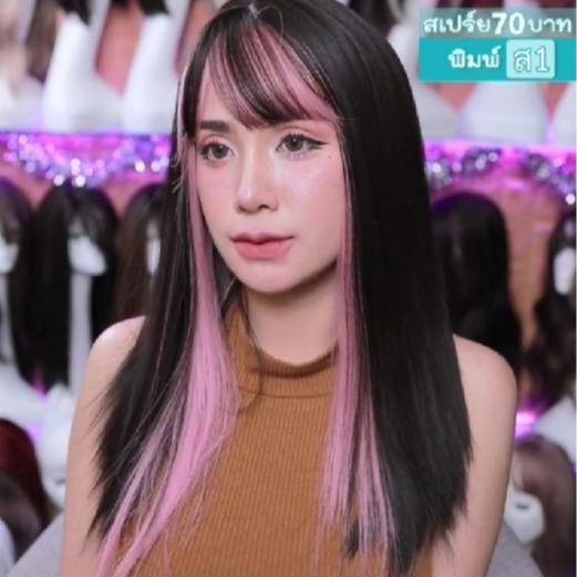 รหัส TS : วิกผมตรงสีไฮไลค์ด้านใน (แถมเน็ต+ขาตั้ง+ของแถม)