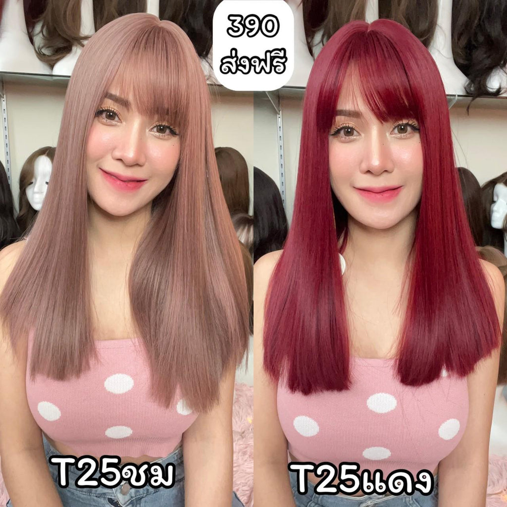 รหัส T25 : วิกผมตรง ความยาวกำลังดี ความยาว 44 ซม. (แถมเน็ต+ขาตั้ง+ของแถม)